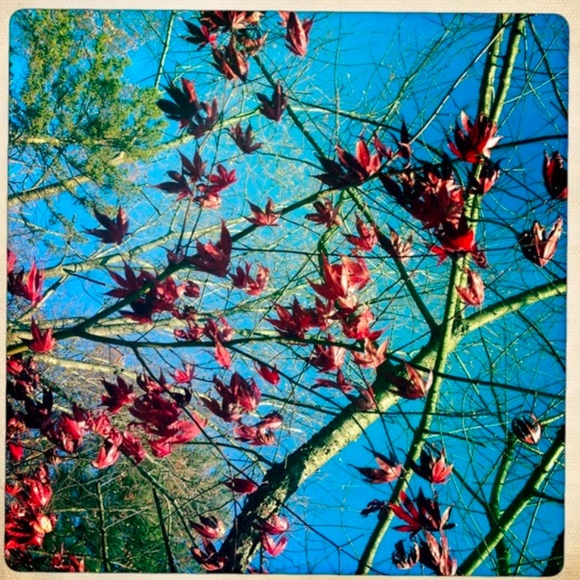 Hi :) - Picture 2 of 2